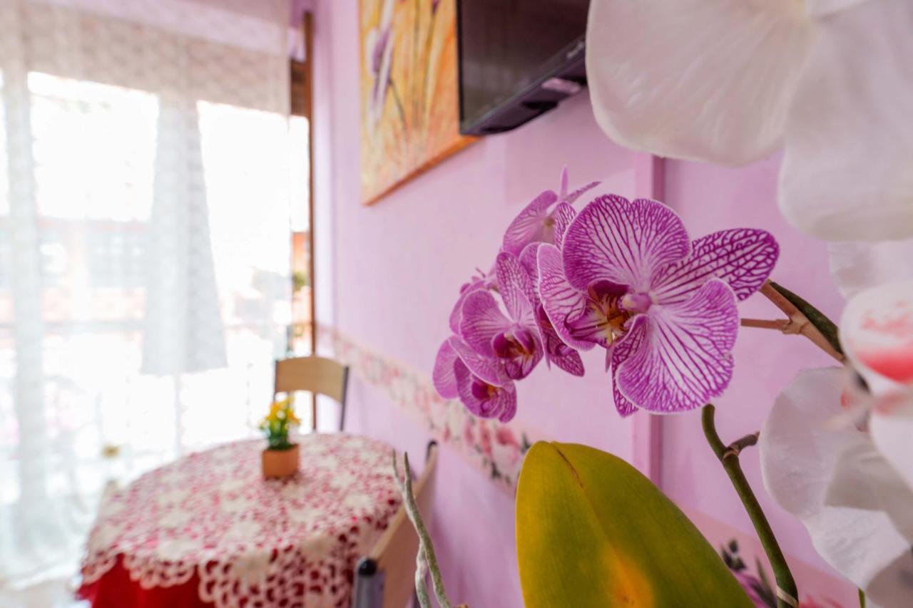 Bed And Breakfast Dolce Vita Bolonia Zewnętrze zdjęcie